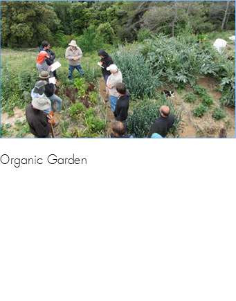 &nbsp;﷯Organic Garden