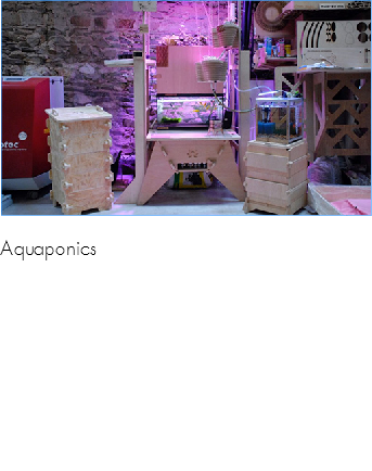 &nbsp;﷯Aquaponics